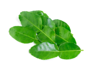 Lime Leaves (Thailand)